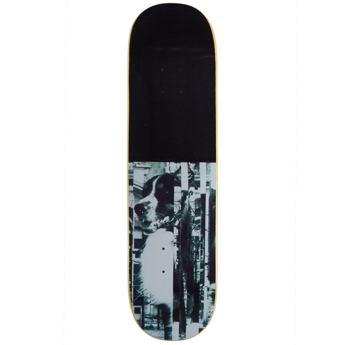 Rassvet Bauer Pro Skateboard Deck - 8.25