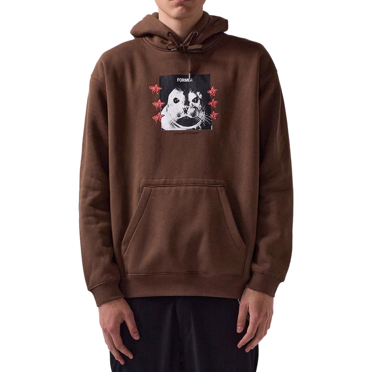 Former Pup Star Hoodie - Pecan image 1