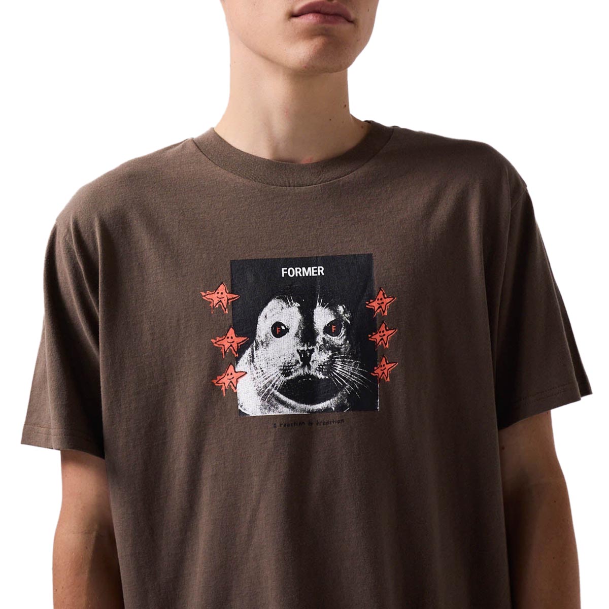 Former Pup Star T-Shirt - Pecan image 3