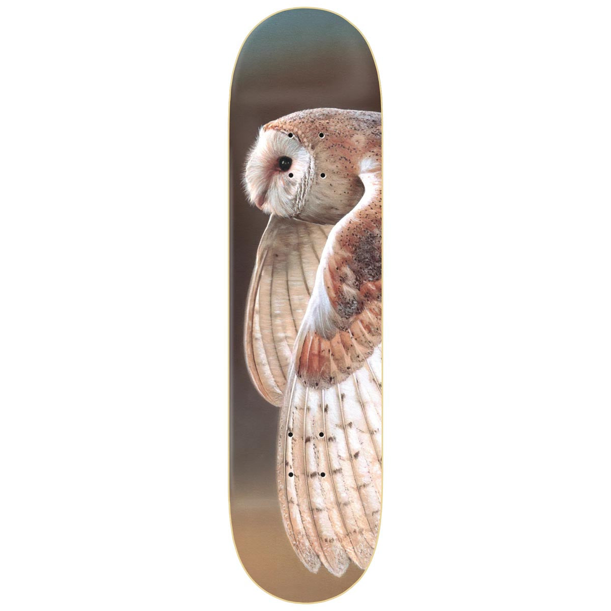 Zero Hess Owl LTD Skateboard Deck - 8.25