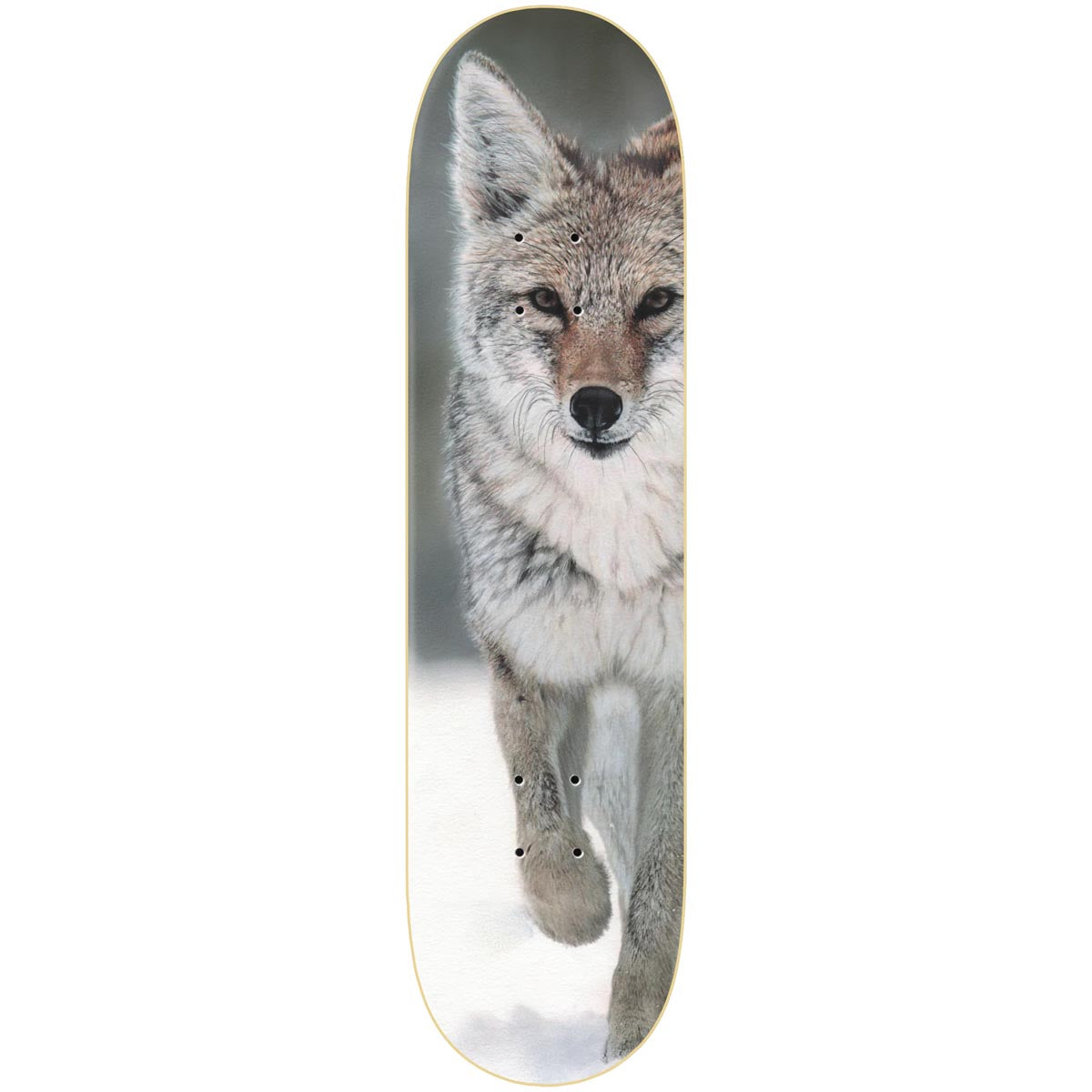 Zero Hess Coyote LTD Skateboard Deck - 8.25